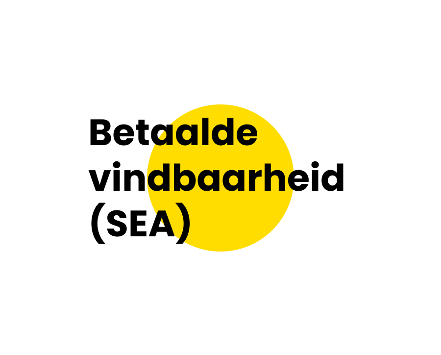 Betaalde vindbaarheid