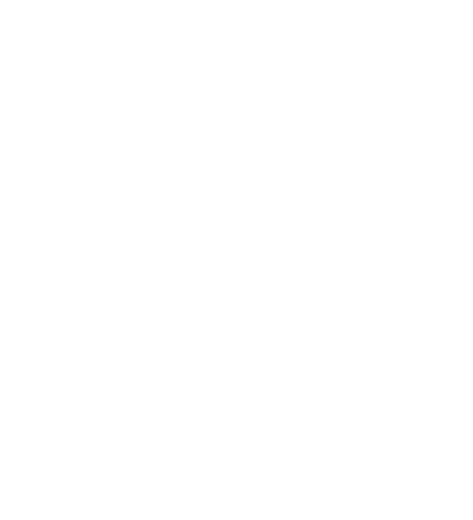 NLE